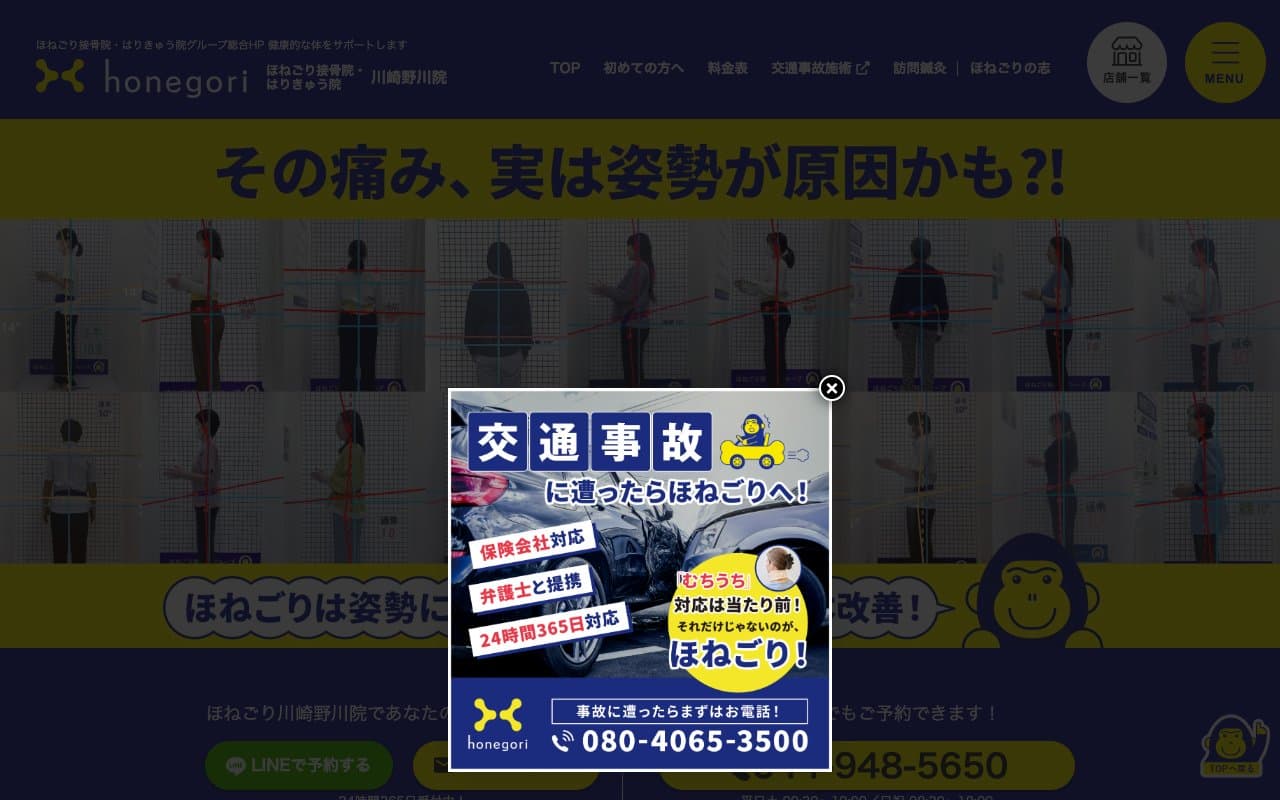 ほねごり接骨院・はりきゅう院 川崎野川院のホームページ